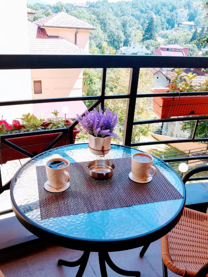 Apartman Temida Lux Vrnjacka Banja Luaran gambar