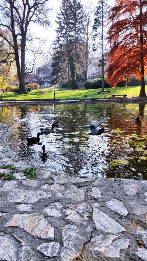 Apartman Temida Lux Vrnjacka Banja Luaran gambar