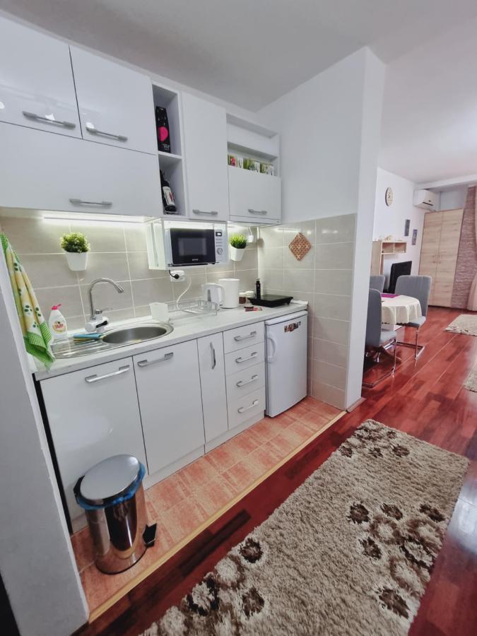Apartman Temida Lux Vrnjacka Banja Luaran gambar