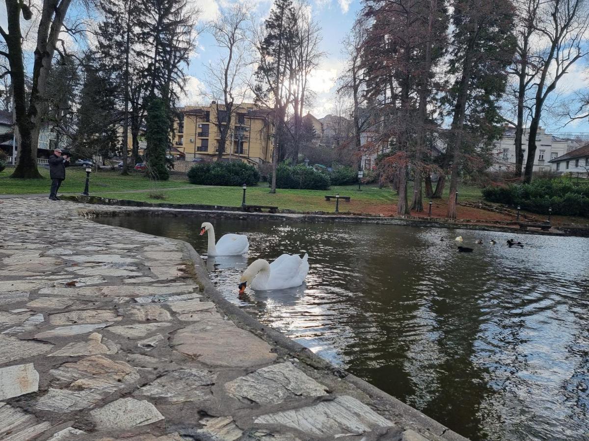 Apartman Temida Lux Vrnjacka Banja Luaran gambar