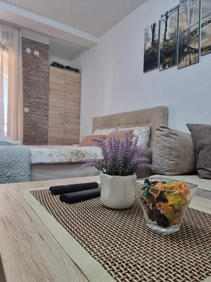 Apartman Temida Lux Vrnjacka Banja Luaran gambar